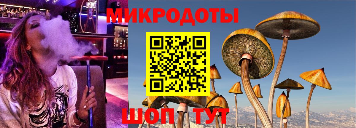 Тула  Псилоцибиновые грибы мухоморы  Вход с VPN 